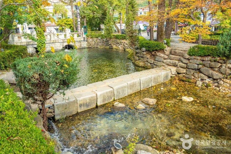 황지연못 사진 5