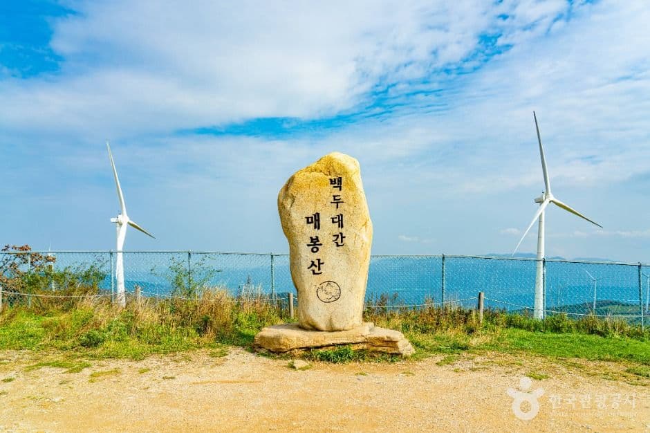 매봉산 바람의 언덕 사진 4