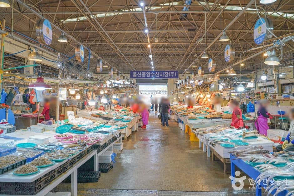 울산 농수산물도매시장 사진 2