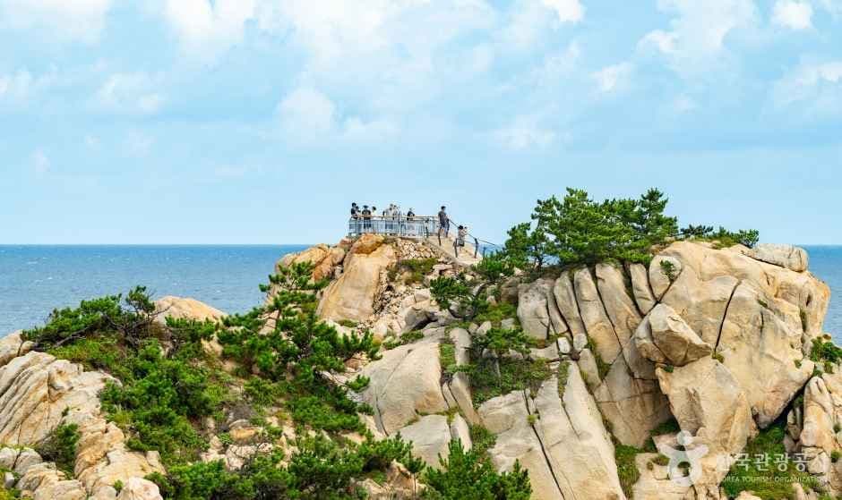 대왕암공원 사진 6