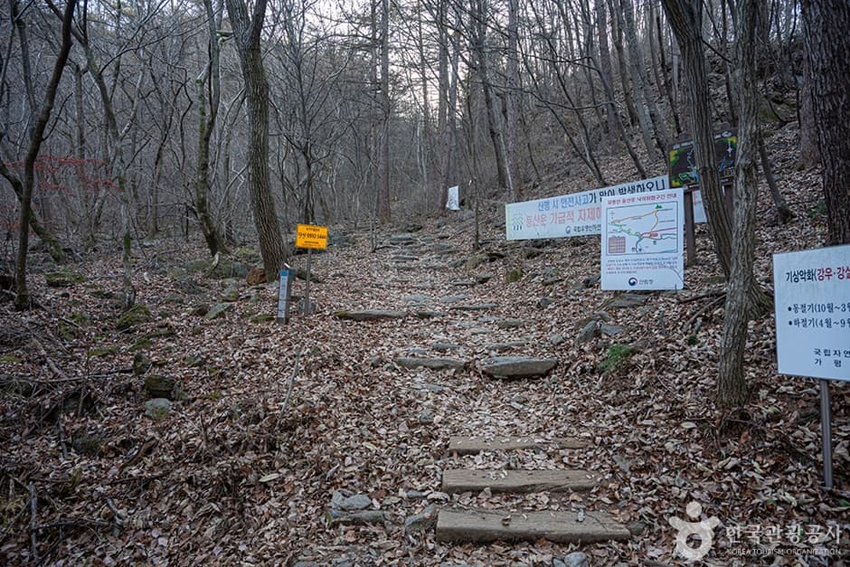 유명산