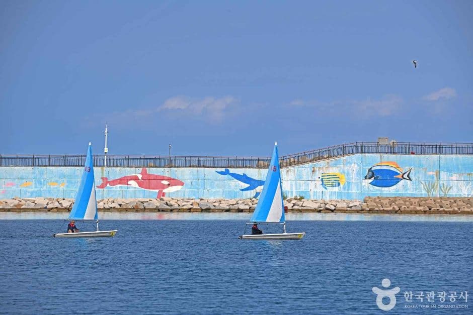 수산항 낚시터