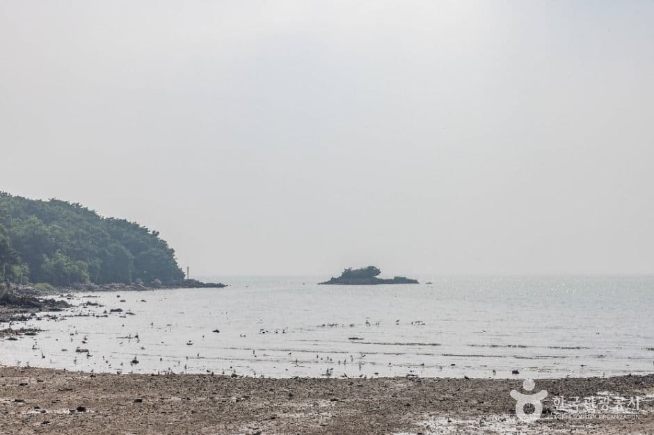 장화리일몰조망지 사진 2