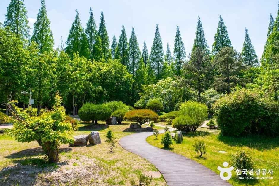 경북천년숲정원 사진 4