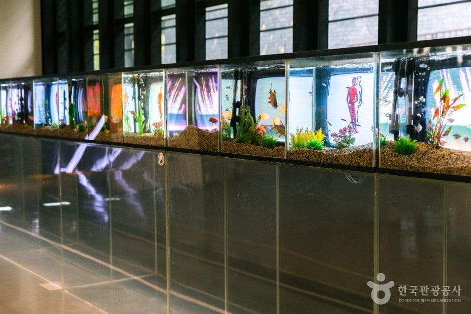 백남준아트센터 사진 1