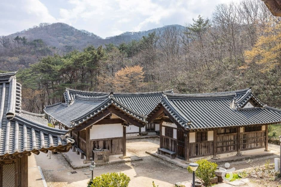 순천전통야생차체험관 사진 5