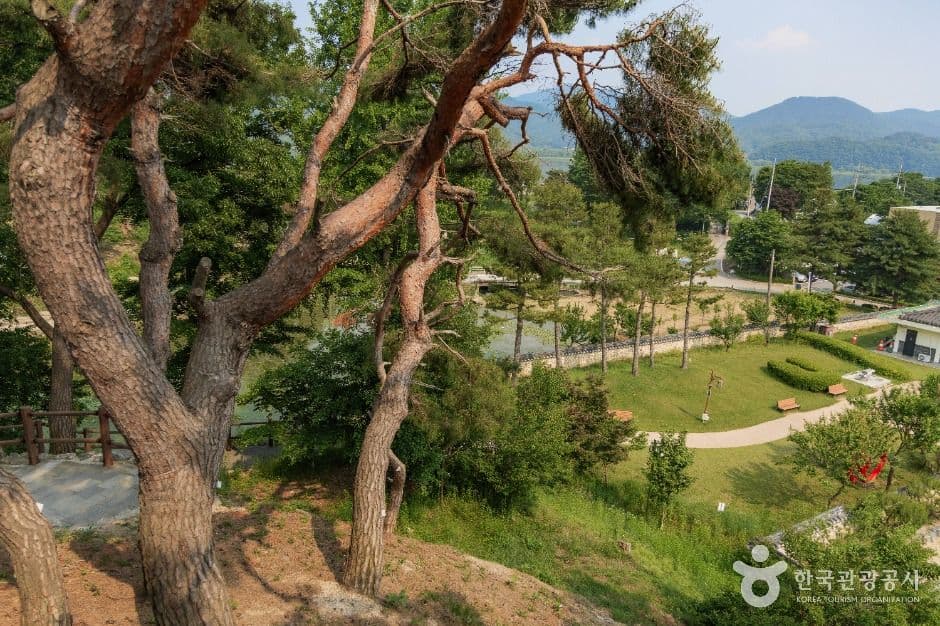 정약용선생묘 사진 4
