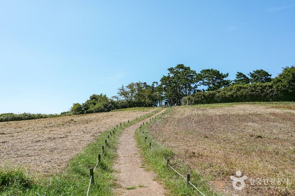 수성당 사진 4
