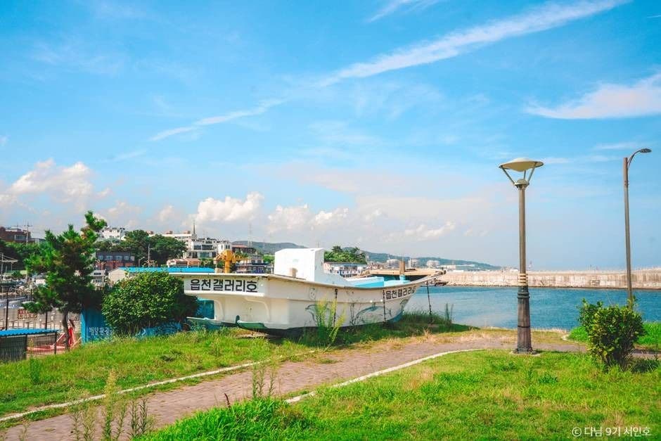 읍천항 사진 1