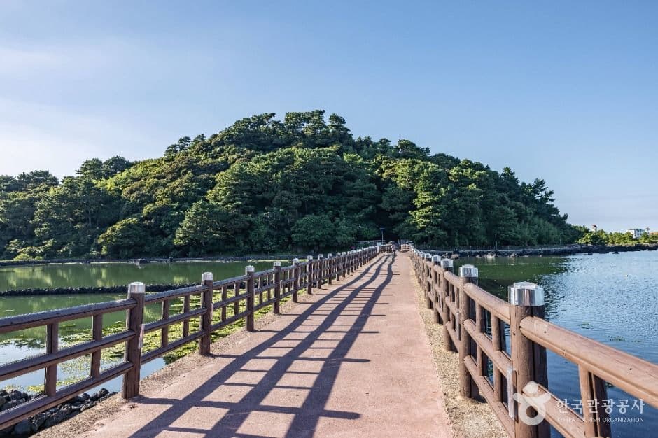 오조포구 사진 5