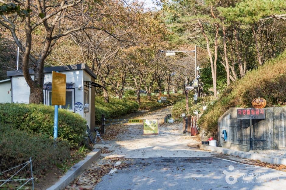 명지계곡 사진 6