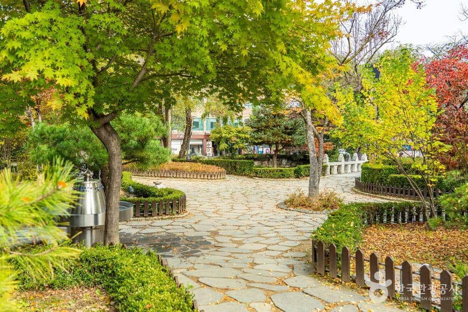 황지연못 사진 7