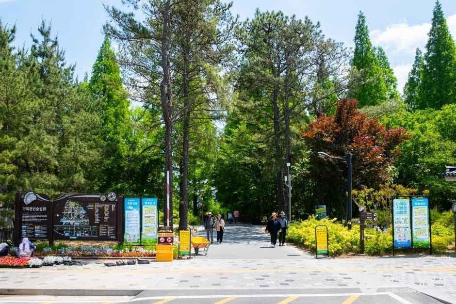 경북천년숲정원 사진 5