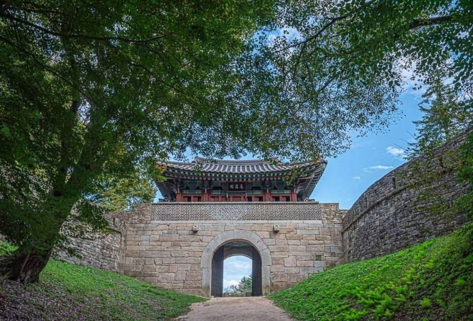 조령산자연휴양림 사진 4
