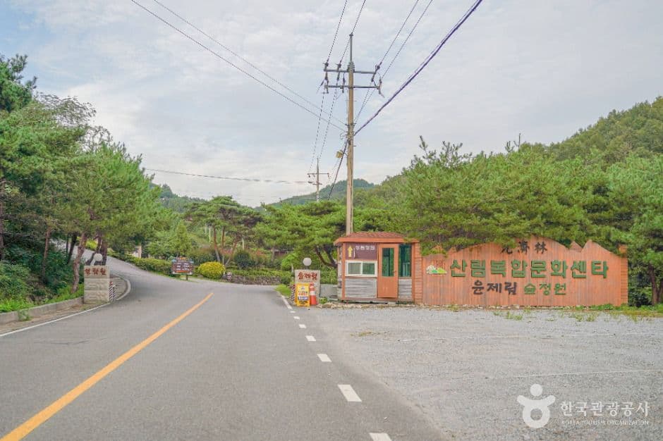 숲정원 윤제림 사진 6