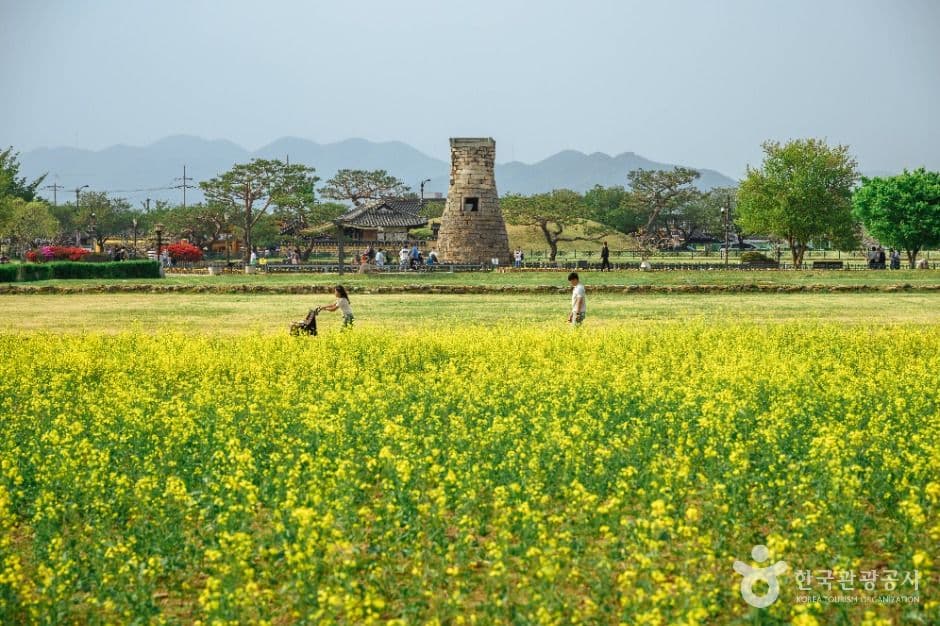 경주 첨성대 사진 6