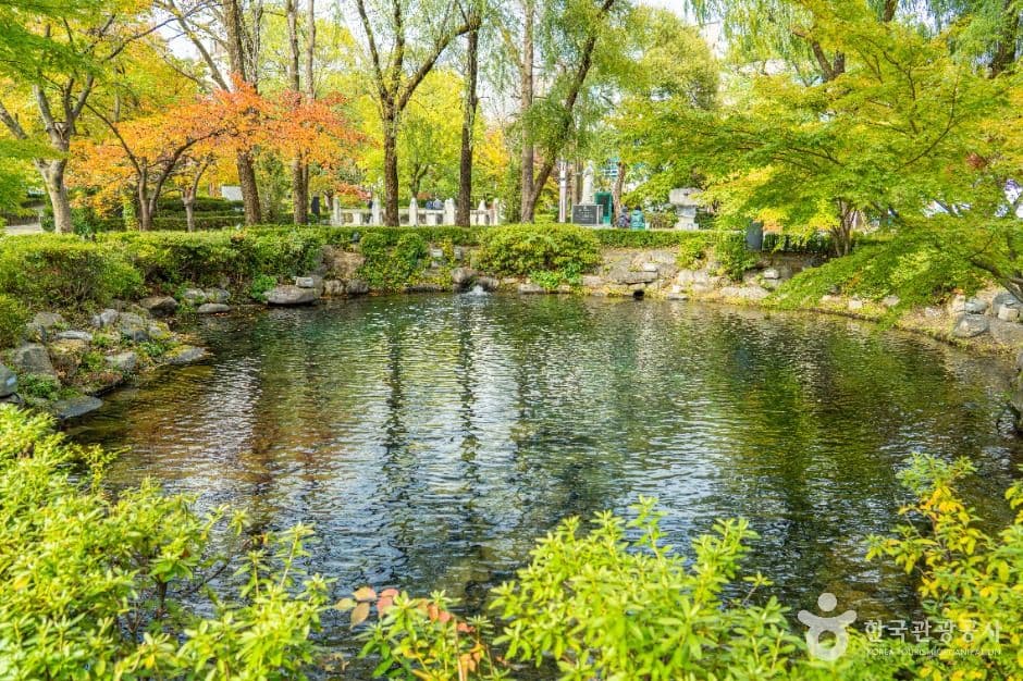 황지연못 사진 8