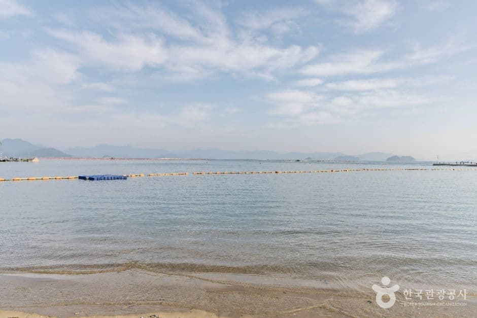대항해수욕장 사진 3