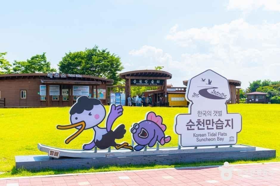 순천만습지 사진 5