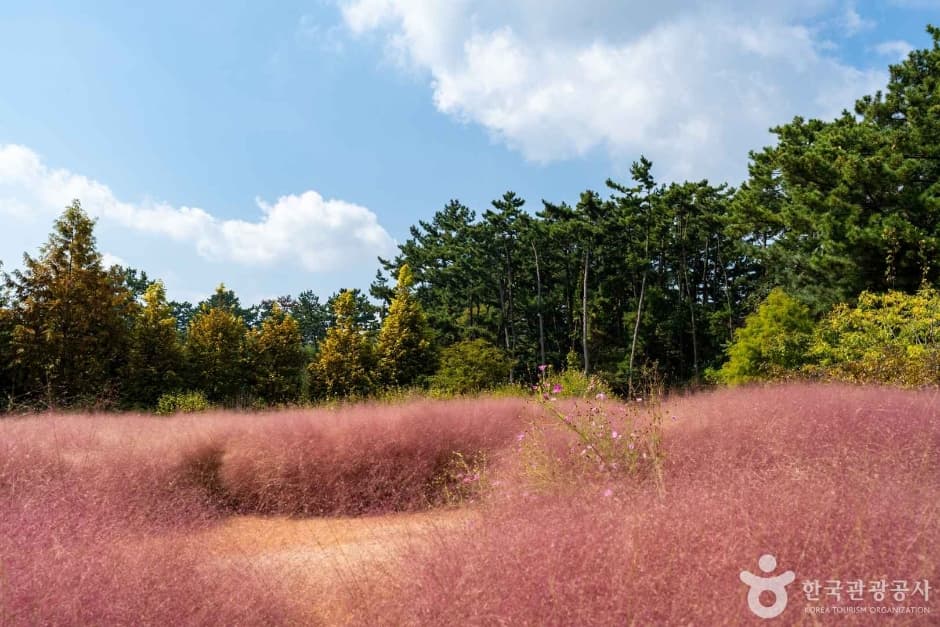 청산수목원 사진 1