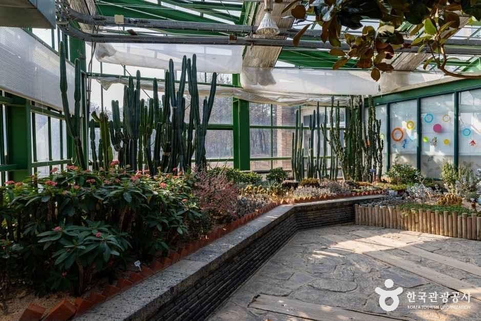 인천환경공단 청라생태공원 사진 3