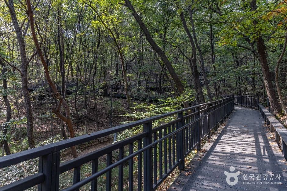 봉화산(서울) 사진 1