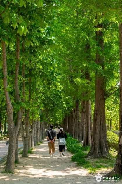 경북천년숲정원 사진 7
