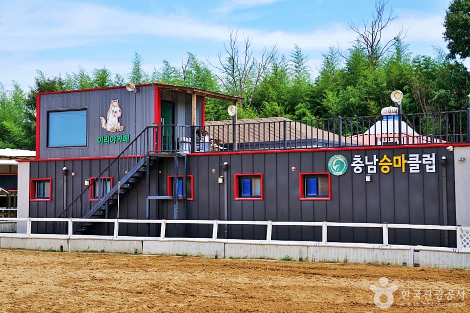 충남승마클럽