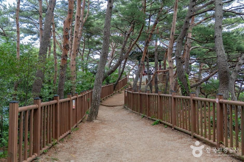 하조대 사진 1