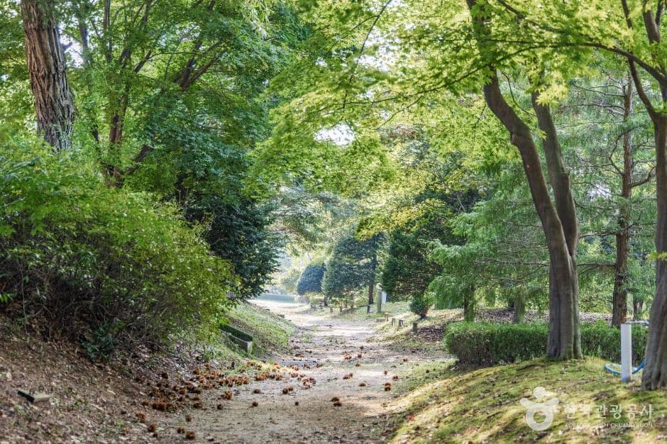 일영허브랜드(숲길정원) 사진 2