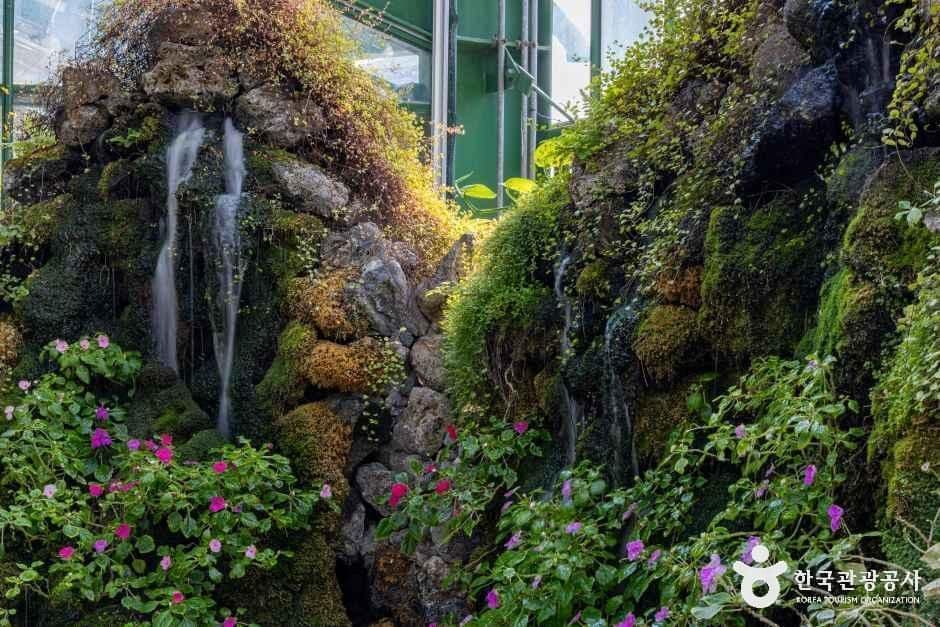 인천환경공단 청라생태공원 사진 5