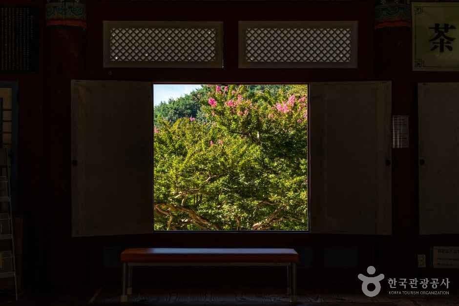 백련사(강진) 사진 5