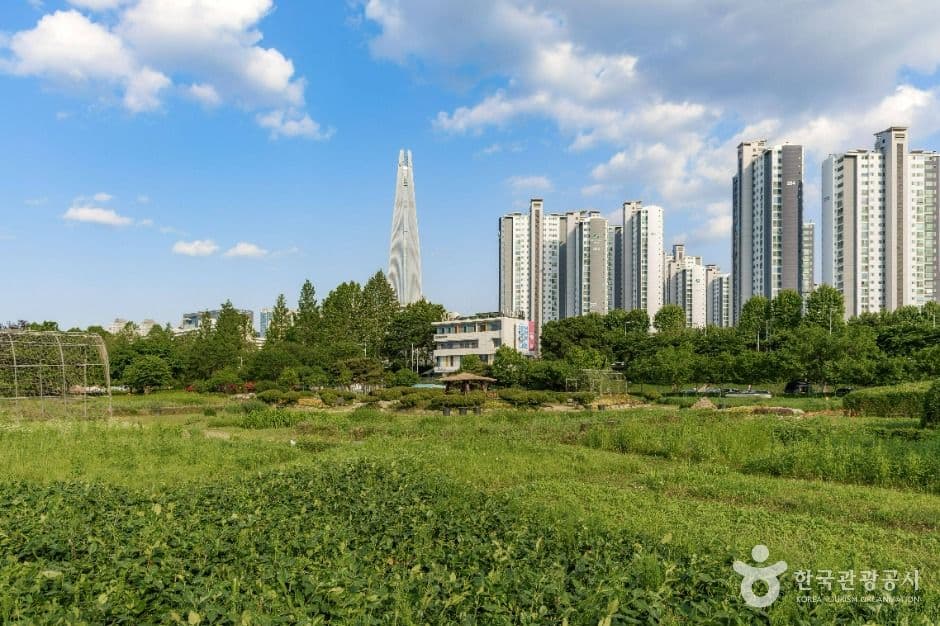 잠실한강공원 사진 6