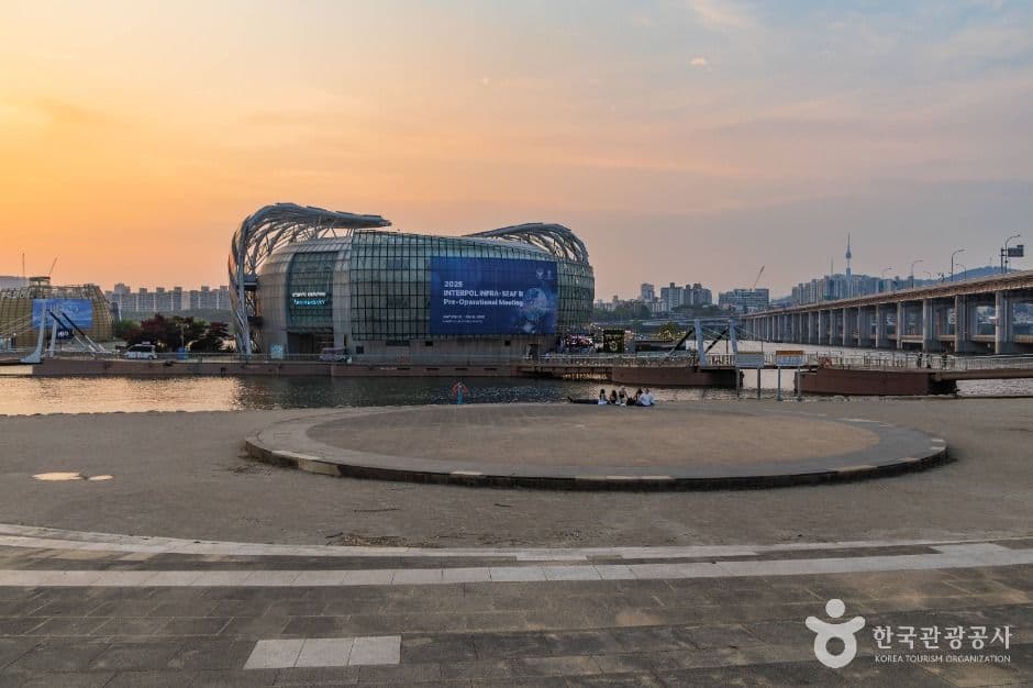 세빛섬 사진 4