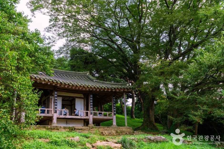 담양 명옥헌 원림 사진 4