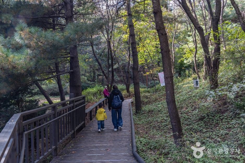 봉화산(서울) 사진 2