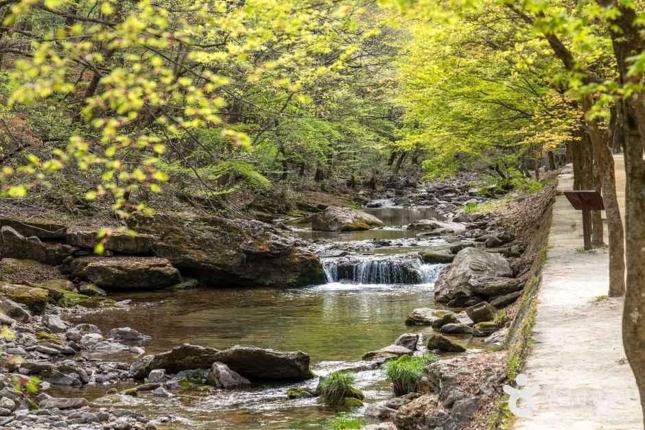 강천산 군립공원