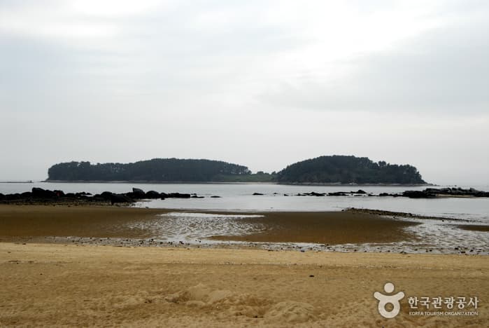 석대도