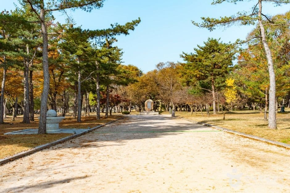 경주 오릉 사진 2