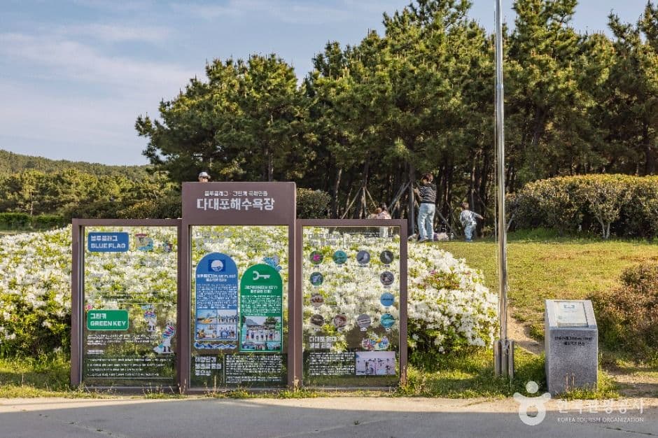 다대포해수욕장 사진 8