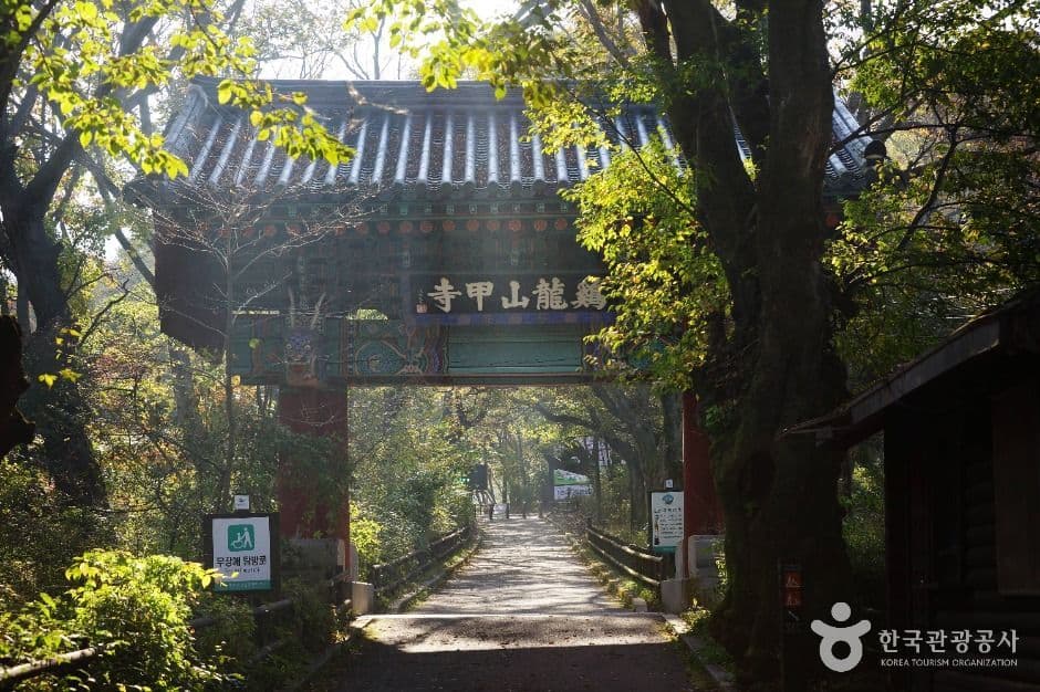 갑사 사진 1