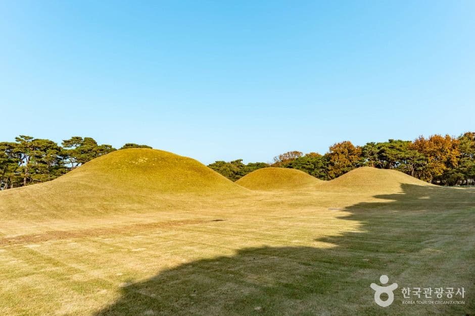 경주 오릉 사진 3