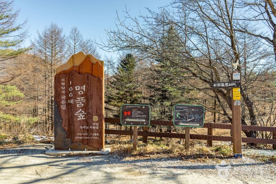 만항재 사진 4