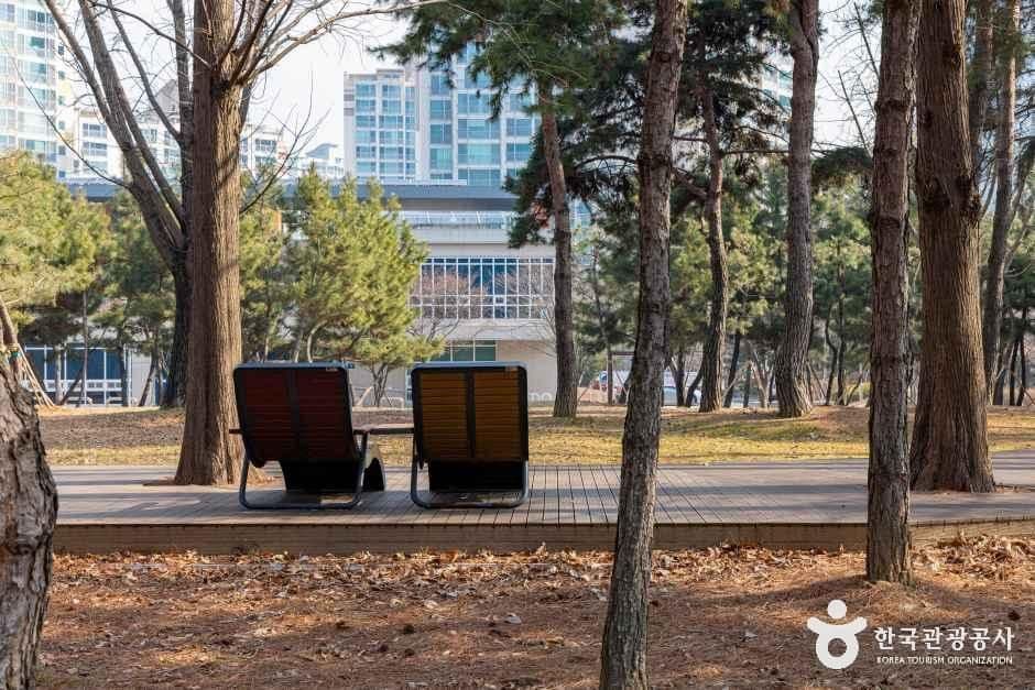해돋이공원 사진 4