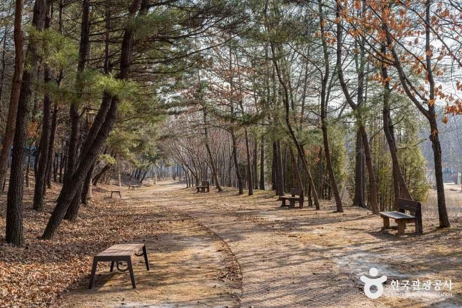 인천환경공단 청라생태공원 사진 8