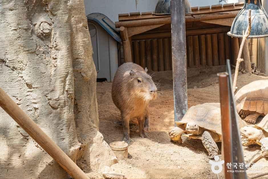 네이처파크 사진 4