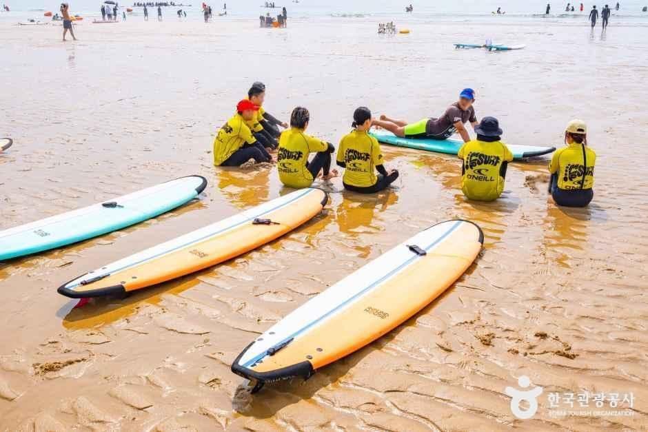 엠엘피서프 사진 3