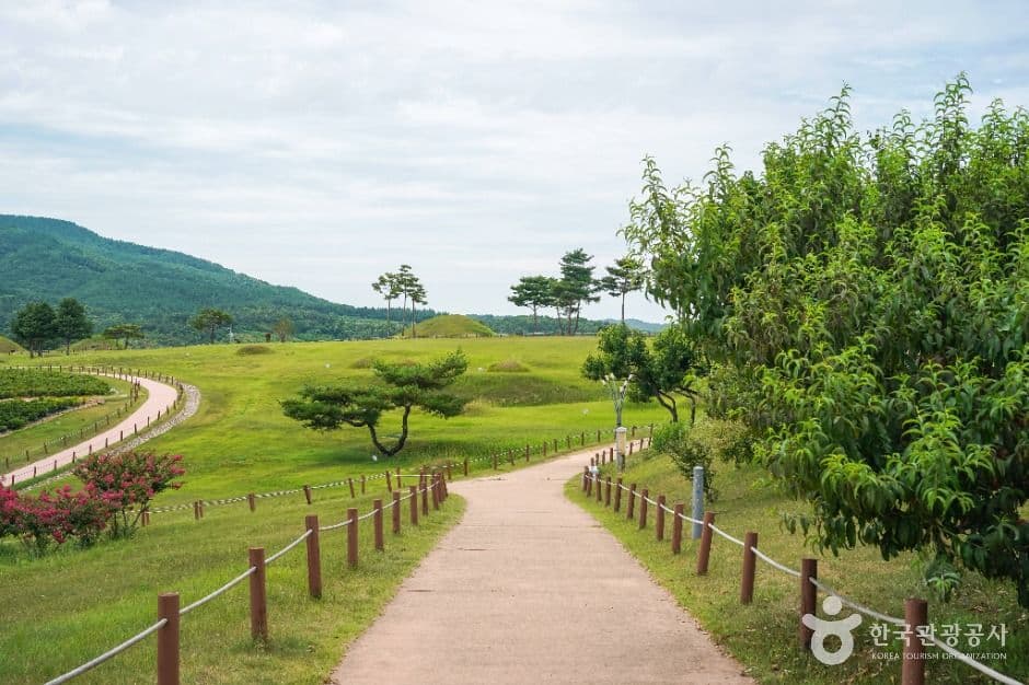 의성 조문국사적지 사진 1