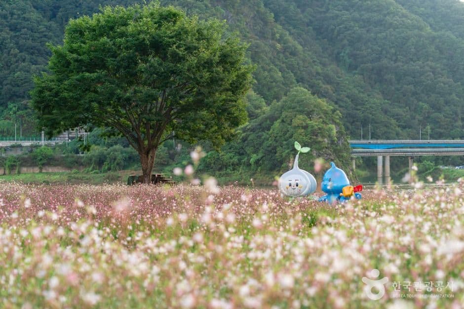 도담정원 사진 1