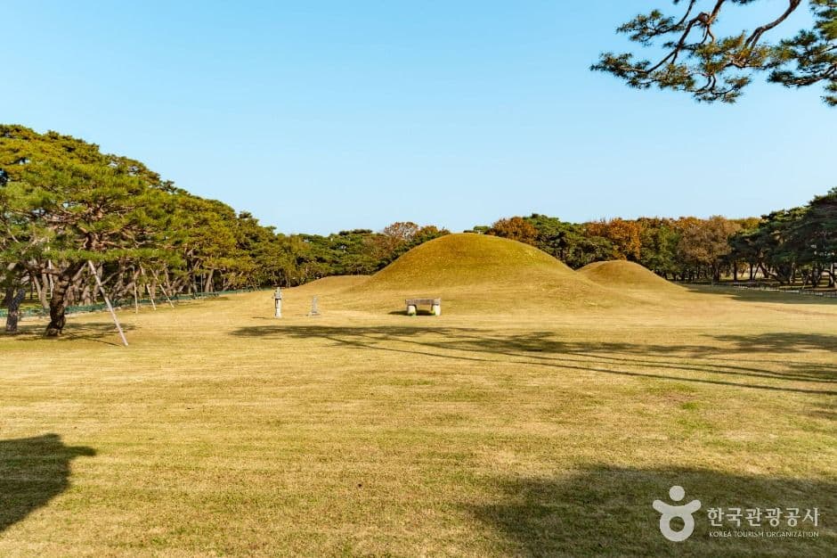 경주 오릉 사진 4